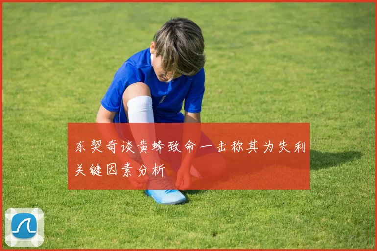 东契奇谈黄蜂致命一击称其为失利关键因素分析